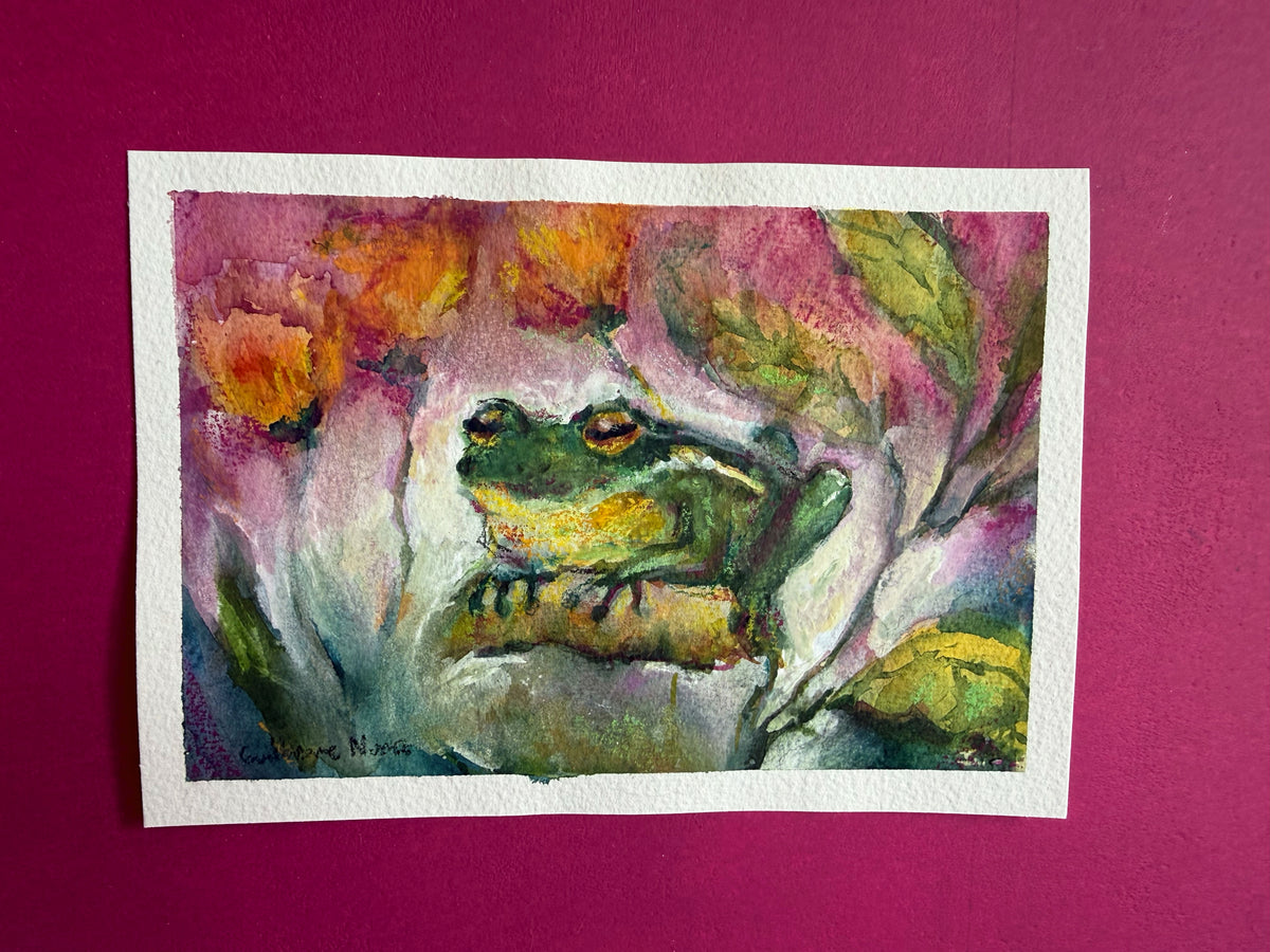 14,7 x 21 cm 5,79 × 8,27 inches Nice Frog